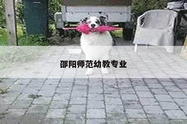 邵阳师范幼教专业