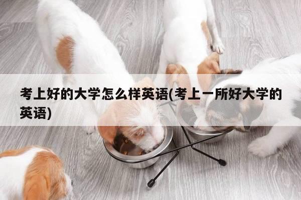 考上好的大学怎么样英语(考上一所好大学的英语)