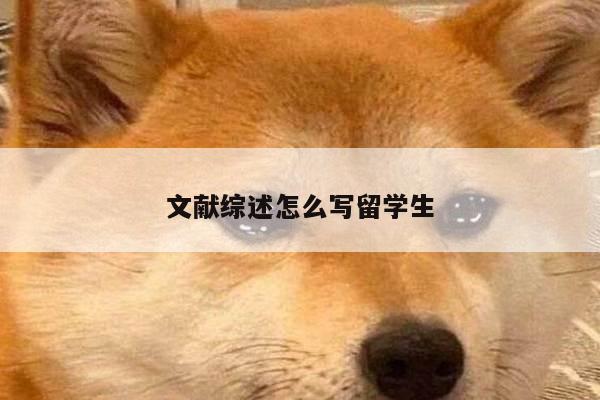 文献综述怎么写留学生