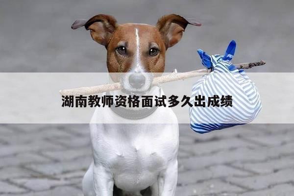 湖南教师资格面试多久出成绩