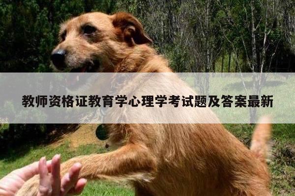 教师资格证教育学心理学考试题及答案最新