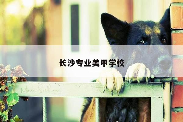 长沙专业美甲学校