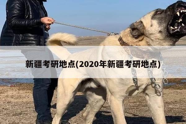 新疆考研地点(2020年新疆考研地点)