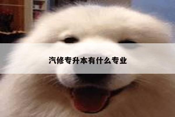 汽修专升本有什么专业