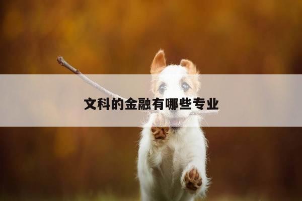 文科的金融有哪些专业
