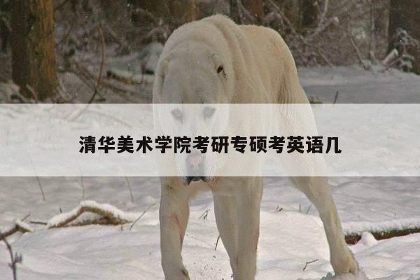 清华美术学院考研专硕考英语几