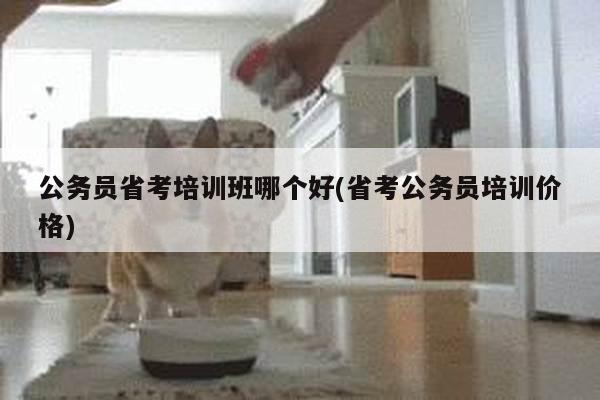 公务员省考培训班哪个好(省考公务员培训价格)