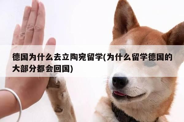 德国为什么去立陶宛留学(为什么留学德国的大部分都会回国)