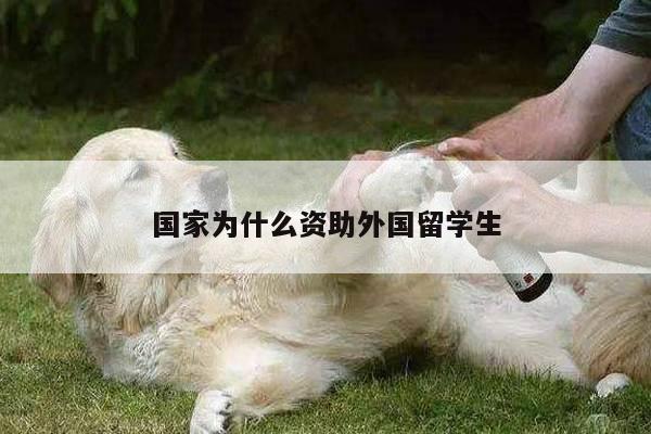 国家为什么资助外国留学生