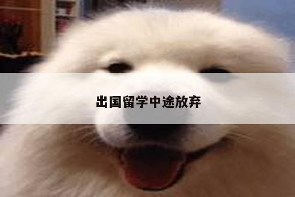 出国留学中途放弃