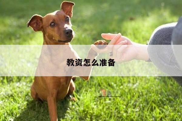 教资怎么准备
