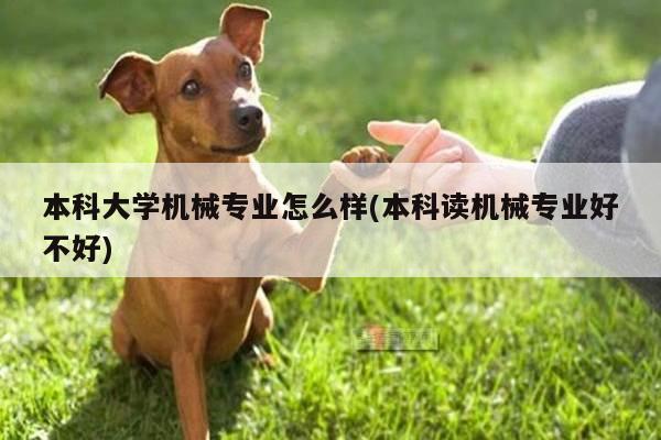 本科大学机械专业怎么样(本科读机械专业好不好)