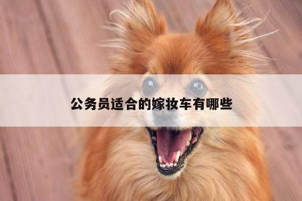 公务员适合的嫁妆车有哪些
