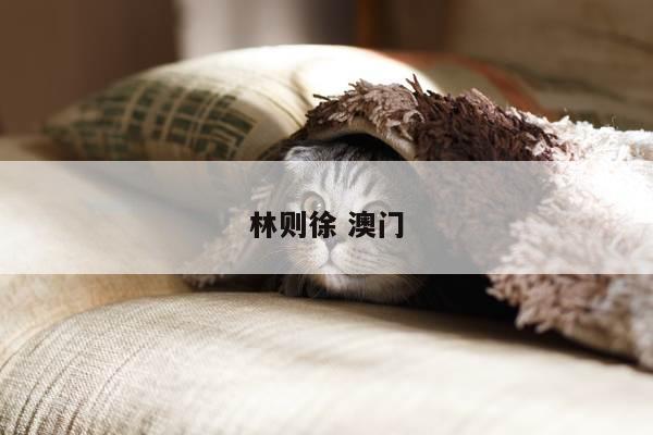 林则徐 澳门