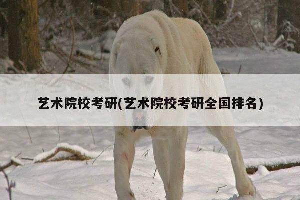 艺术院校考研(艺术院校考研全国排名)