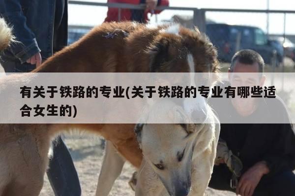 有关于铁路的专业(关于铁路的专业有哪些适合女生的)