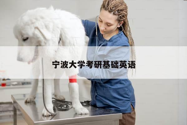 宁波大学考研基础英语