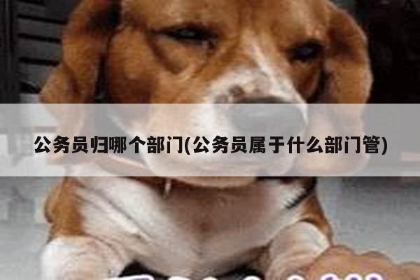 公务员归哪个部门(公务员属于什么部门管)