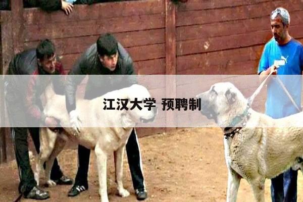 江汉大学 预聘制