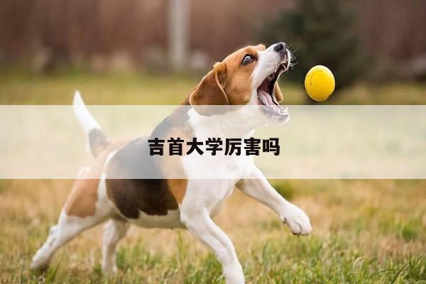 吉首大学厉害吗