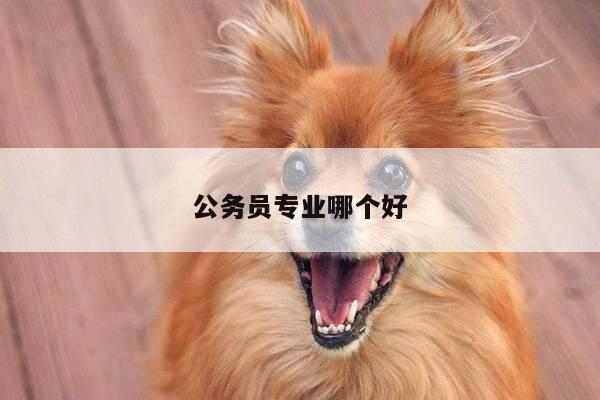 公务员专业哪个好