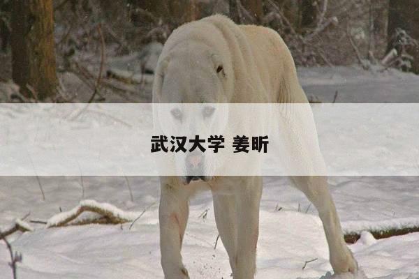 武汉大学 姜昕