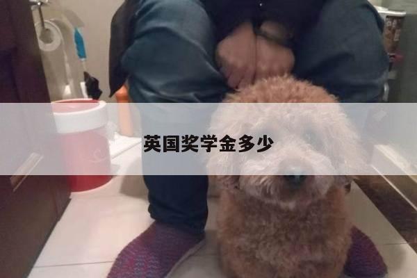 英国奖学金多少