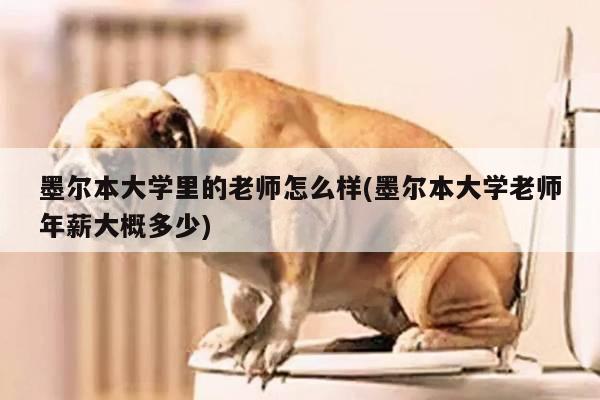 墨尔本大学里的老师怎么样(墨尔本大学老师年薪大概多少)