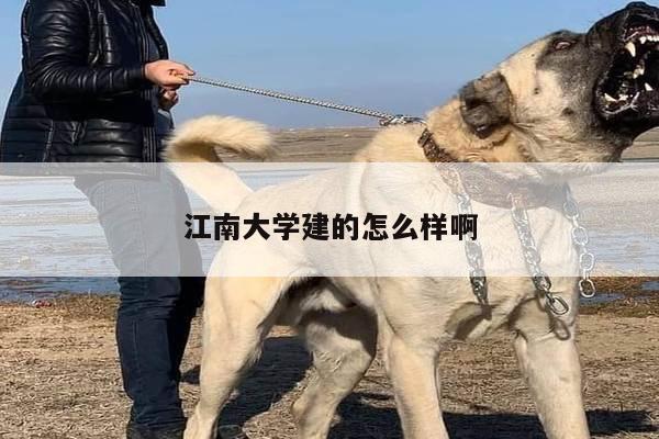 江南大学建的怎么样啊