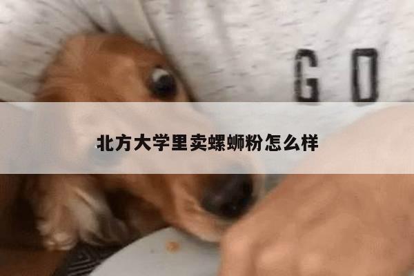 北方大学里卖螺蛳粉怎么样