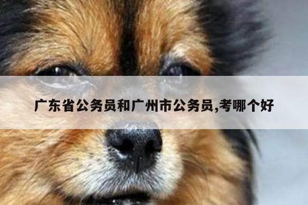 广东省公务员和广州市公务员,考哪个好