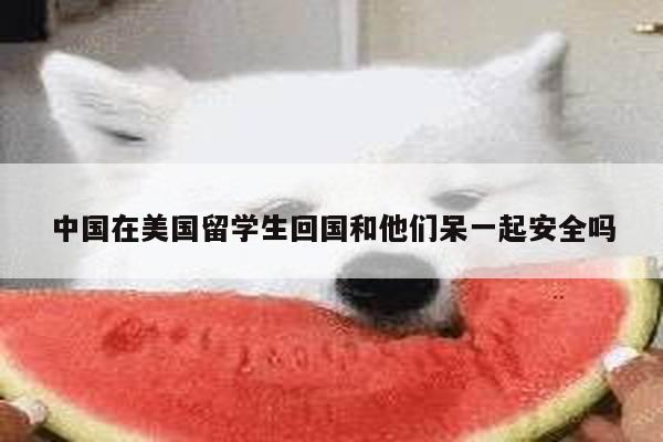中国在美国留学生回国和他们呆一起安全吗