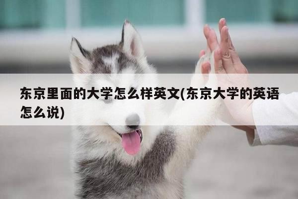 东京里面的大学怎么样英文(东京大学的英语怎么说)