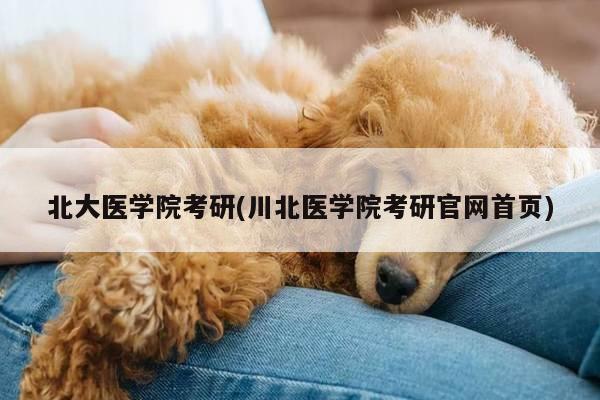 北大医学院考研(川北医学院考研官网首页)