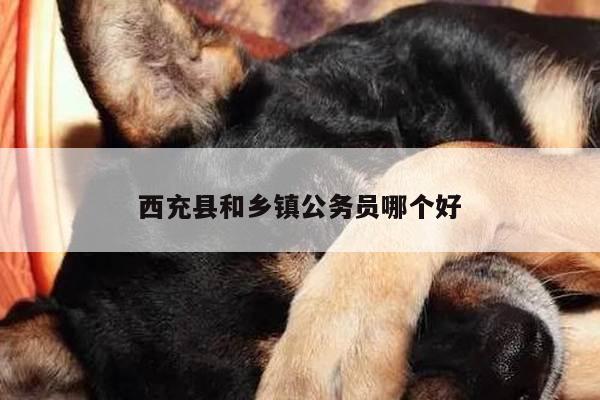 西充县和乡镇公务员哪个好
