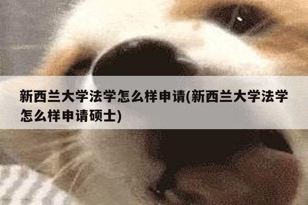 新西兰大学法学怎么样申请(新西兰大学法学怎么样申请硕士)