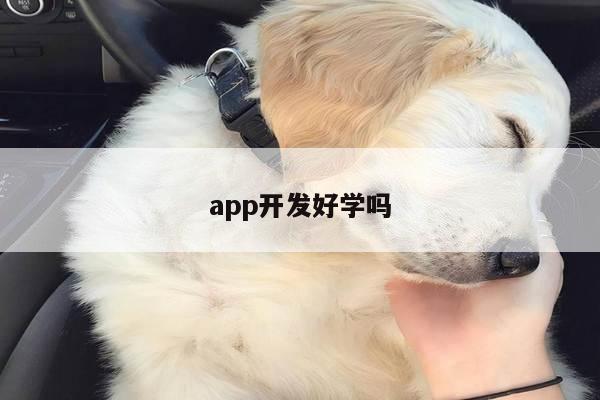 app开发好学吗