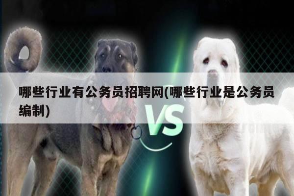 哪些行业有公务员招聘网(哪些行业是公务员编制)