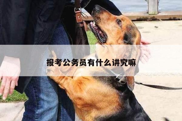报考公务员有什么讲究嘛