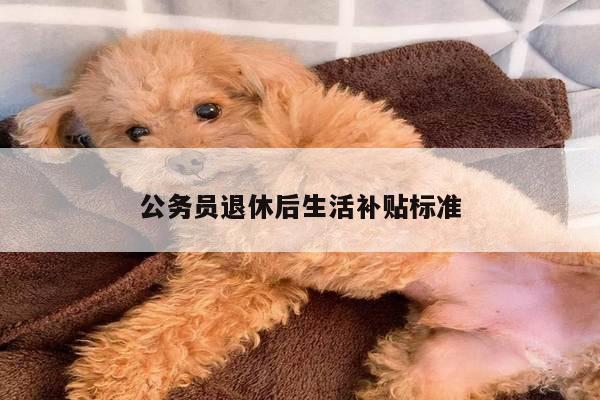 公务员退休后生活补贴标准