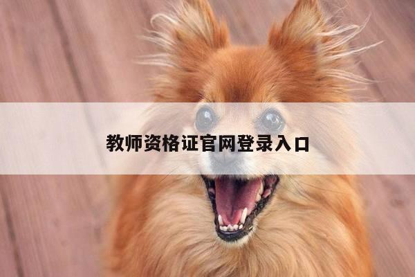 教师资格证官网登录入口