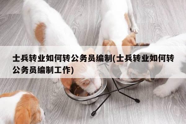 士兵转业如何转公务员编制(士兵转业如何转公务员编制工作)