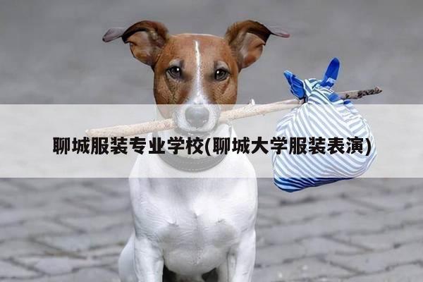 聊城服装专业学校(聊城大学服装表演)