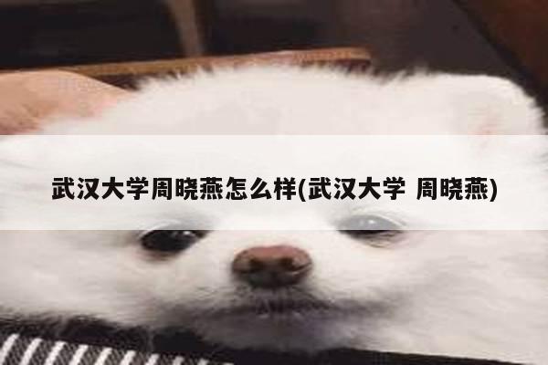 武汉大学周晓燕怎么样(武汉大学 周晓燕)