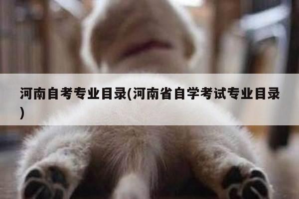河南自考专业目录(河南省自学考试专业目录)
