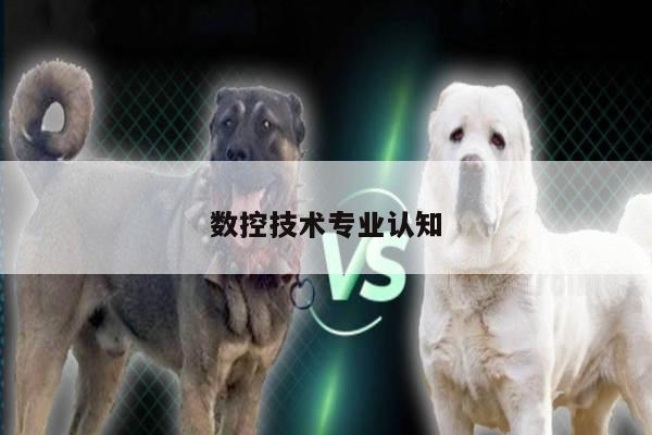 数控技术专业认知