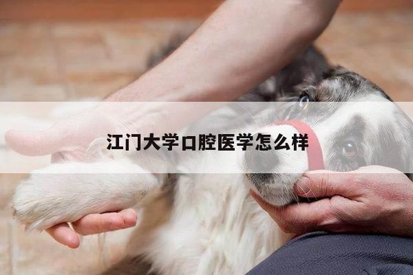 江门大学口腔医学怎么样