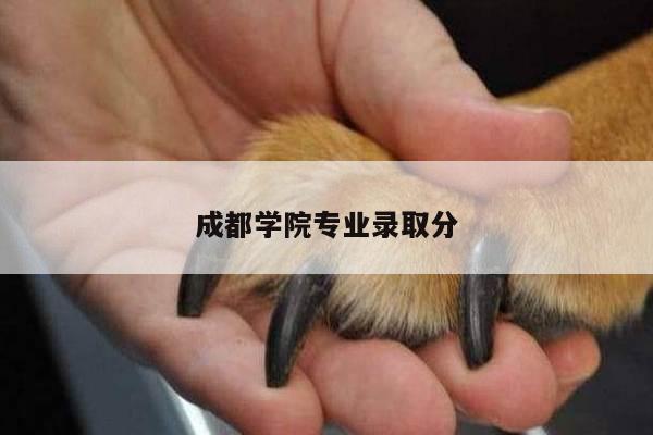 成都学院专业录取分
