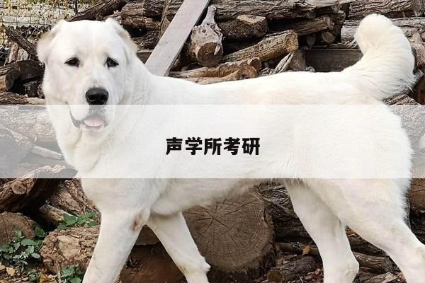 声学所考研