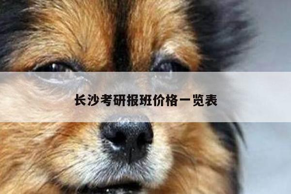 长沙考研报班价格一览表